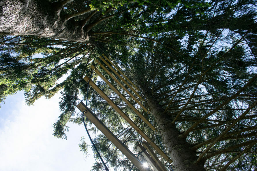 Erlebnispädagogik in der Natur – Ideen für Teamevents während der Klassenfahrt im Schwarzwald