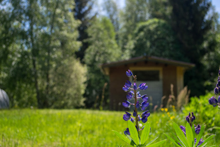 Die Boschhütte – Ein soziales Projekt