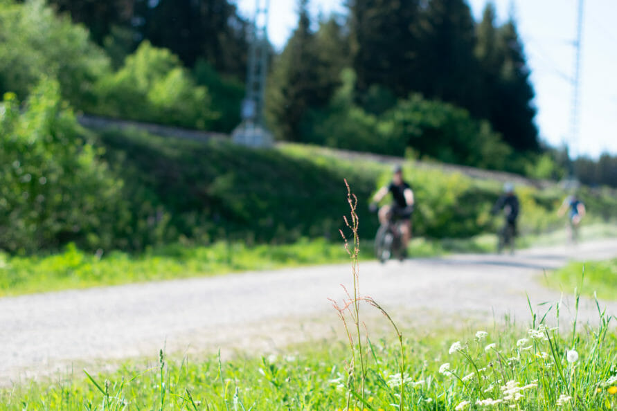 Auf dem Fahrrad den Schwarzwald entdecken